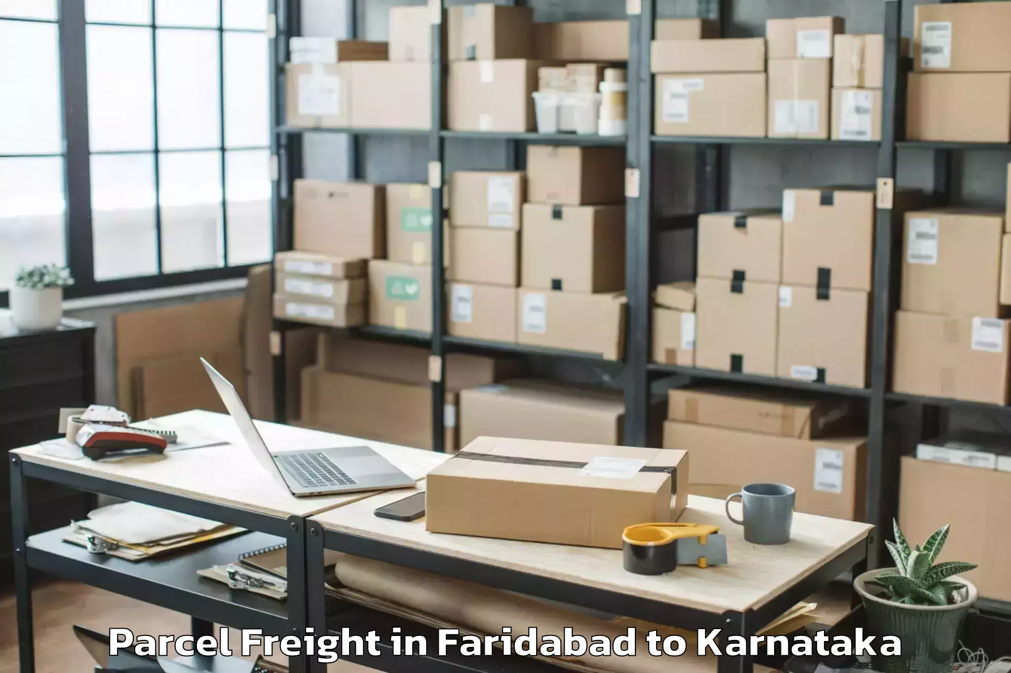 Easy Faridabad to Lingasugur Parcel Freight Booking